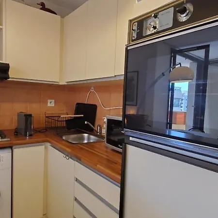 Apartment La Miougrano, T2-3 49m2, 5 Personn